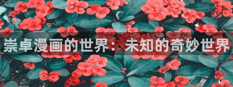 虫虫漫画的广告2024：崇卓漫画的世界：未知的奇妙世界