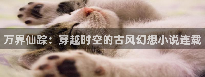 虫虫漫画免费观看页面：万界仙踪：穿越时空的古风幻想小说连载
